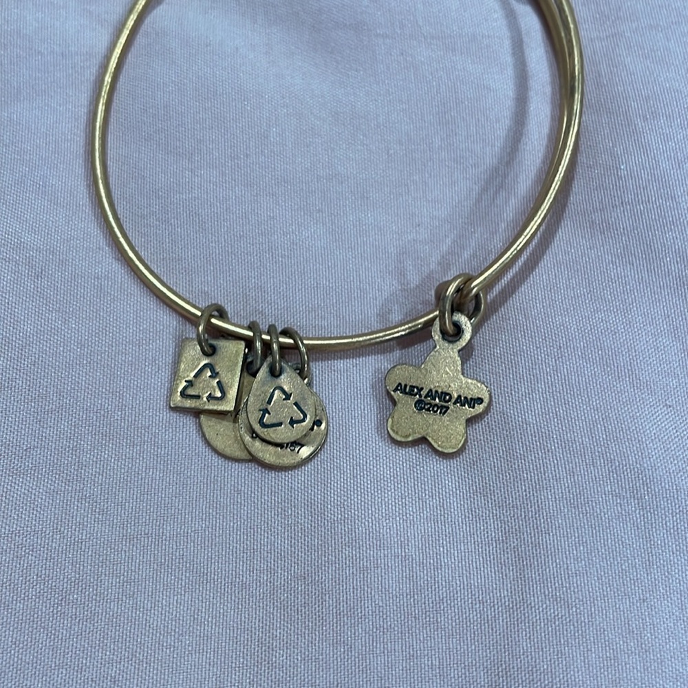 True wish charm bracelet- Alex and Ani - Picture 3 of 8